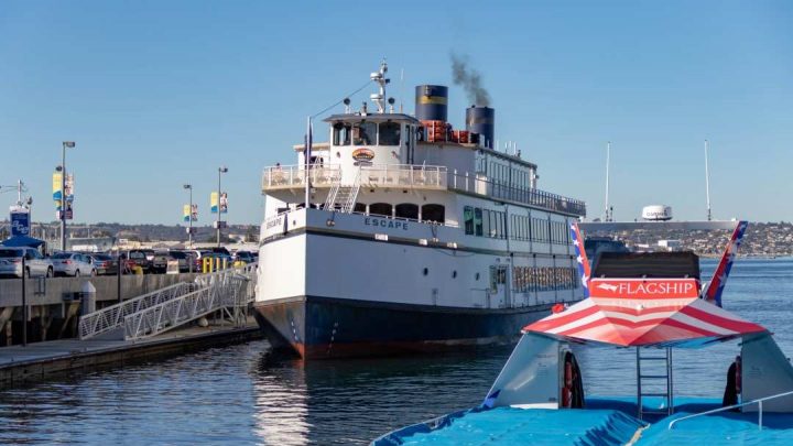 Should You Take a San Diego Harbor Cruise?