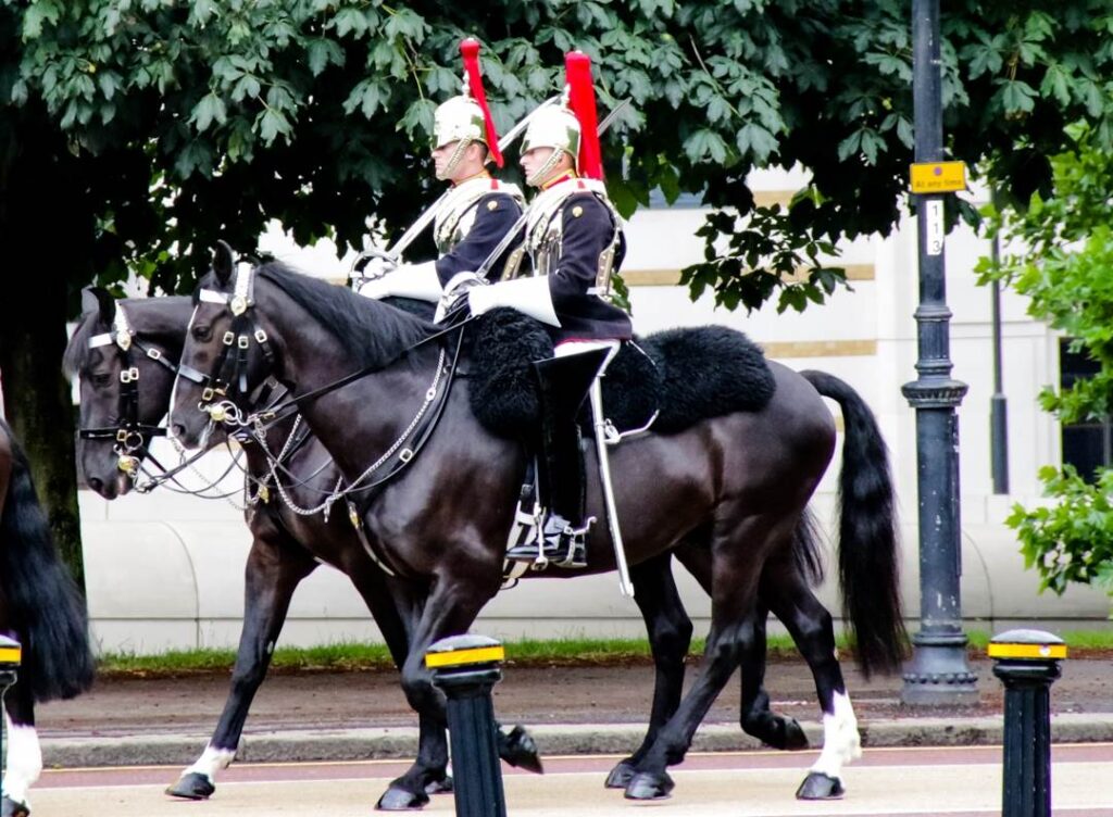 Queen's Guard_London