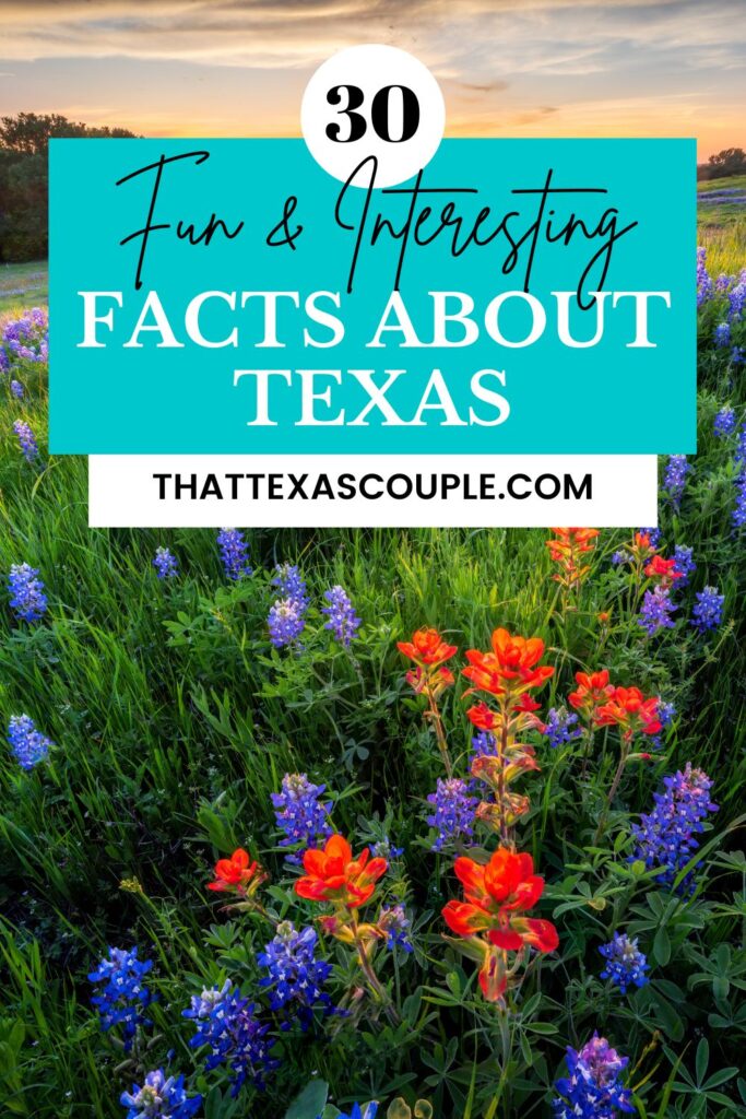 facts about Texas
