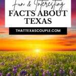 facts about Texas