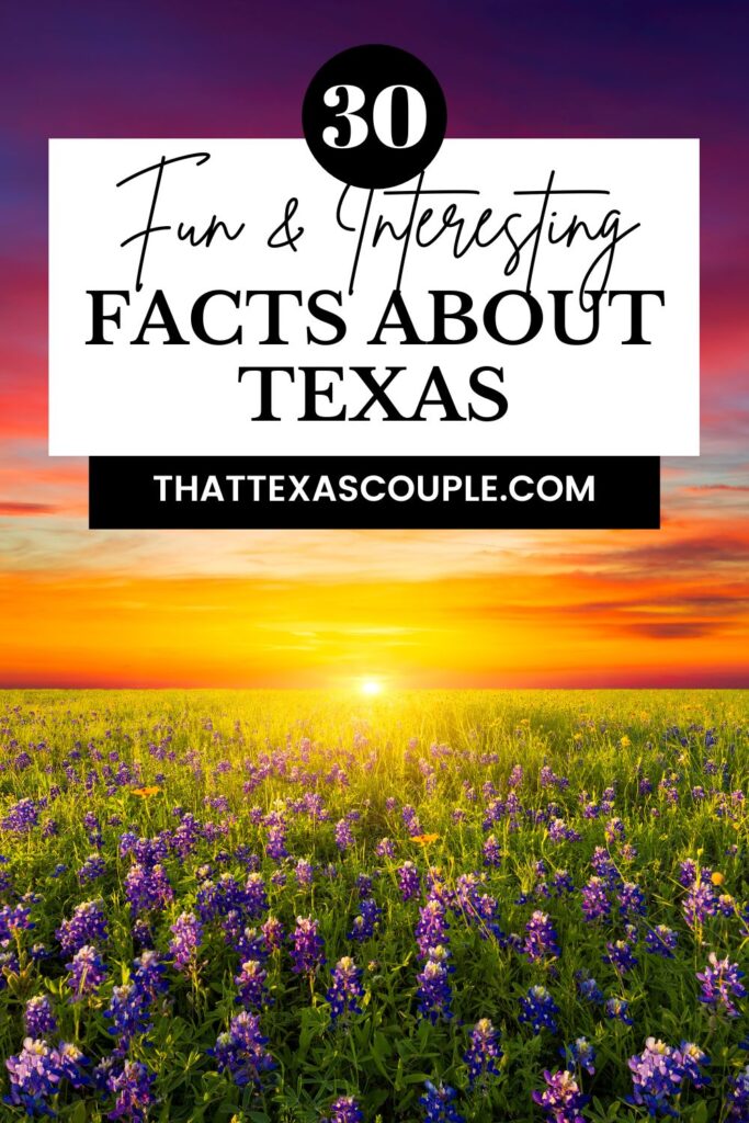 facts about Texas