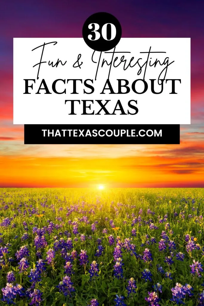 facts about Texas
