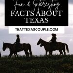 facts about Texas