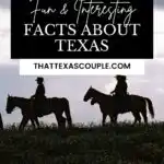 facts about Texas