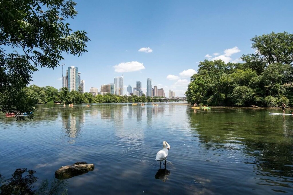 Zilker is one of the best places to stay in Austin for families