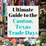 Canton Trade Days Pin