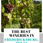 Fredericksburg TX wineries