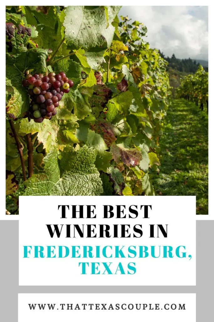 Fredericksburg TX wineries