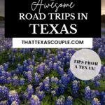 road trips in Texas