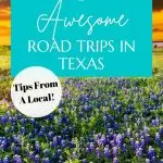 road trips in Texas pin