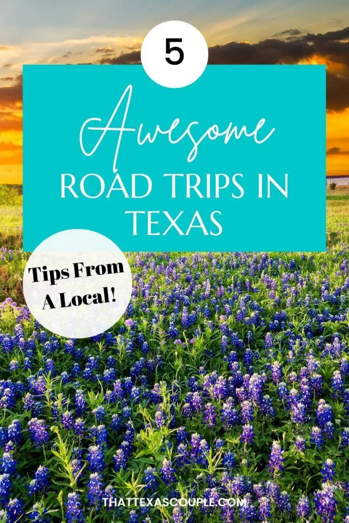 road trips in Texas pin