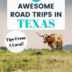 Texas road trips pin