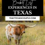 Texas bucket list