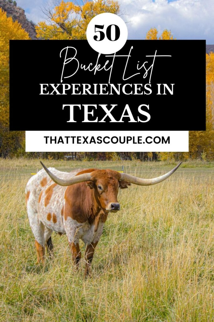 Texas bucket list