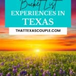 Texas bucket list