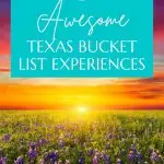 Texas bucket list pin image