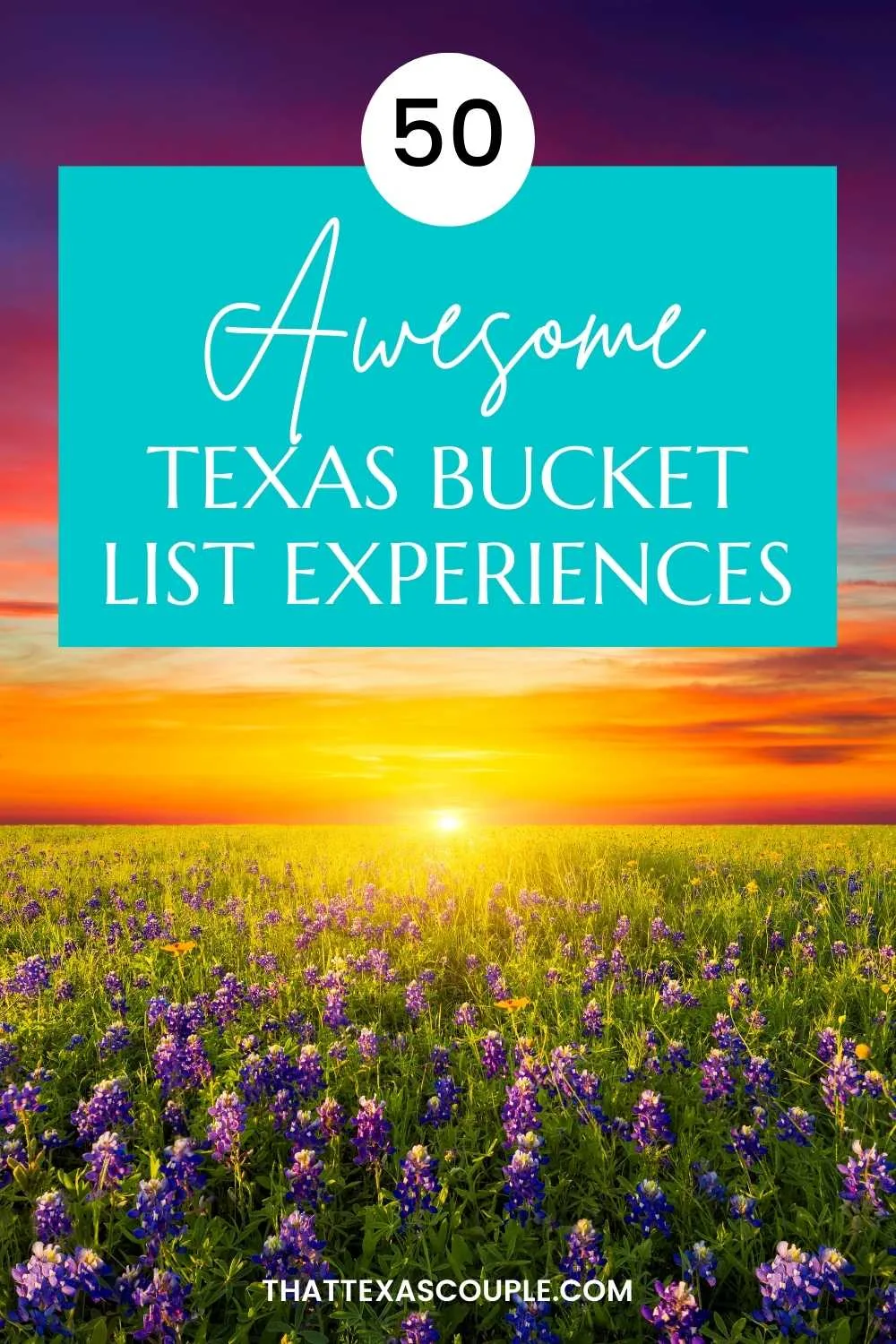 Texas bucket list pin image
