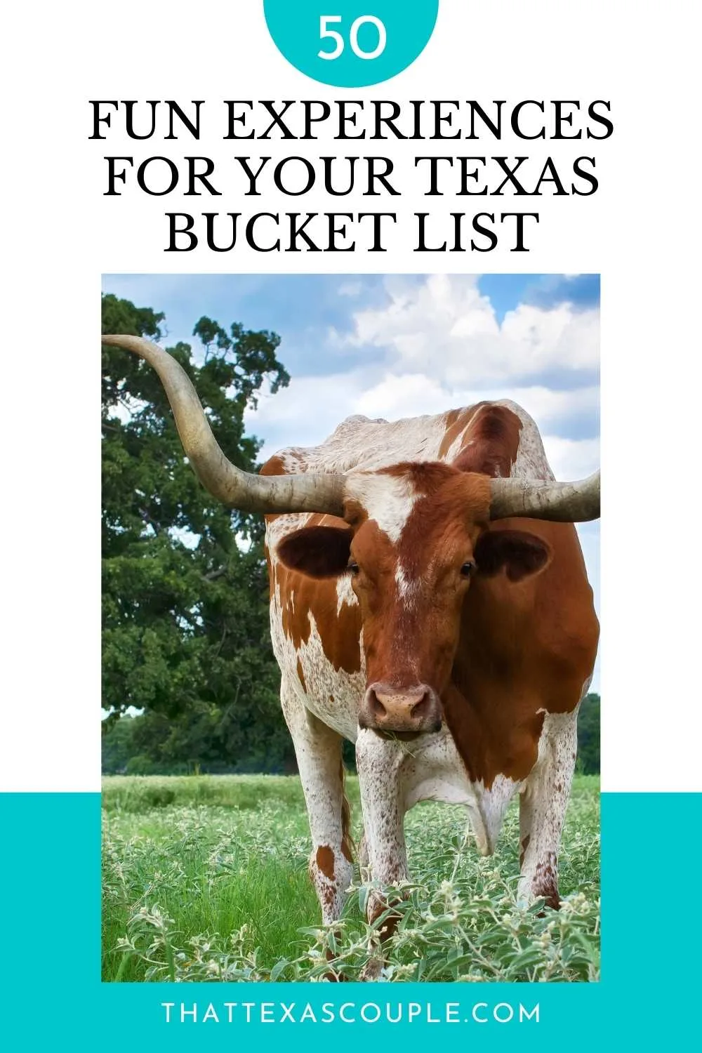 Texas Bucket List Pin Image