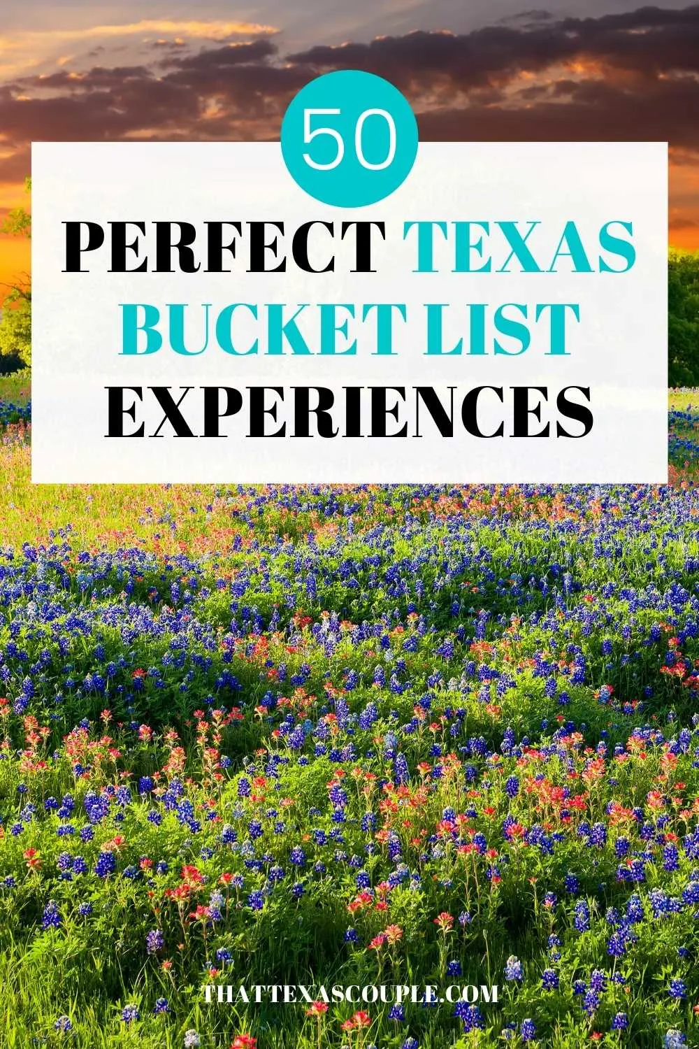 Texas bucket list experiences Pin image