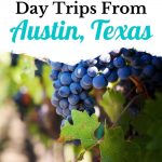 day trips from Austin Pin Image