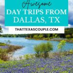 day trips from Dallas