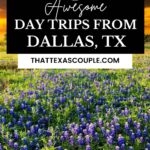 day trips from Dallas