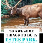 things to do in estes park colorado