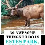 things to do in estes park colorado