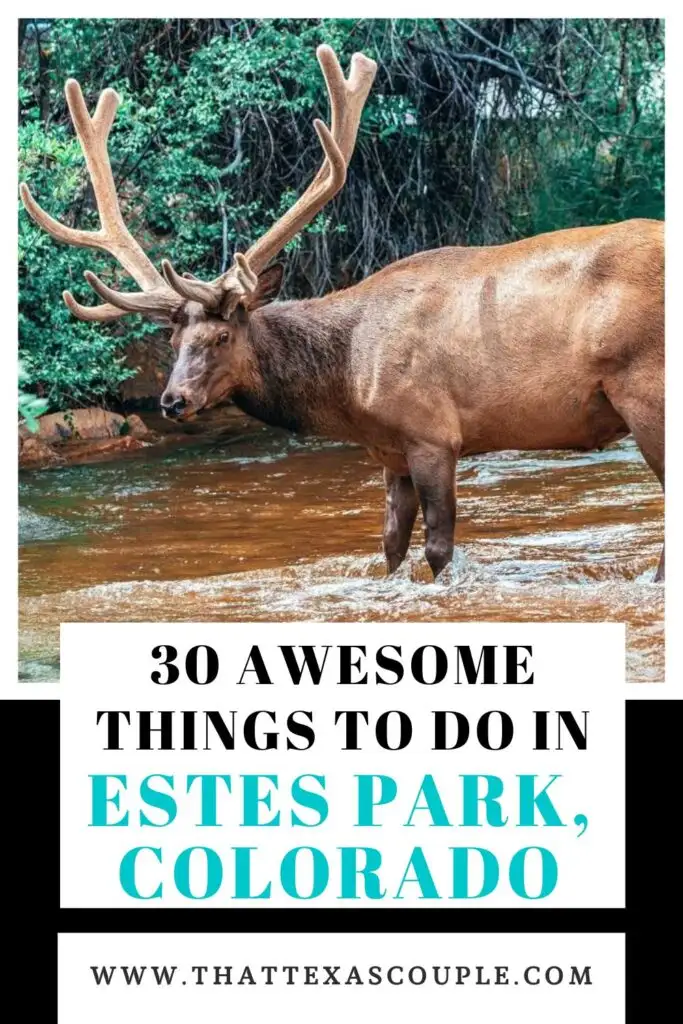 things to do in estes park colorado