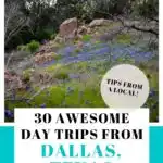 day trips from Dallas