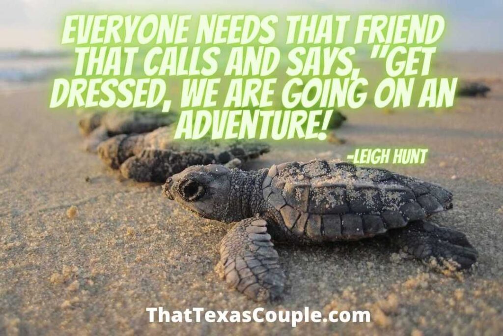 Check out these travel quotes, friends!