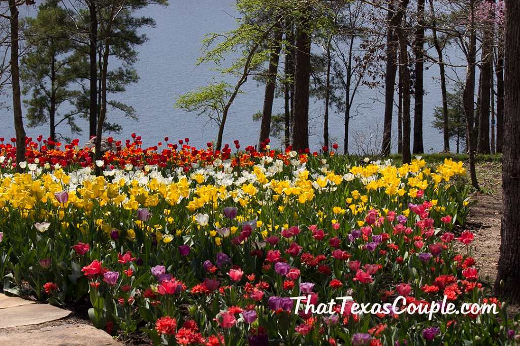 things to do in hot spring arkansas