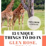 things to do in Glen Rose TX