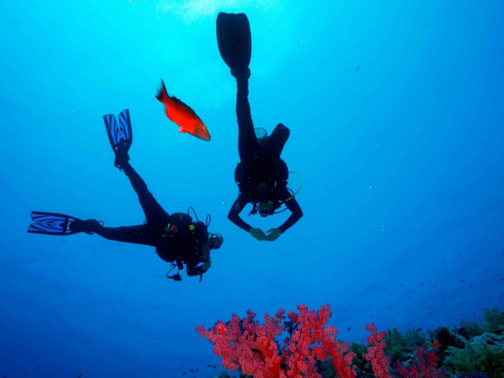scuba divers in the ocean
