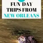 day trip from New Orleans Pinterest Image