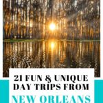 Day Trip from New Orleans