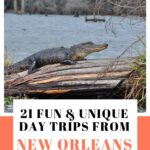 Day Trip from New Orleans