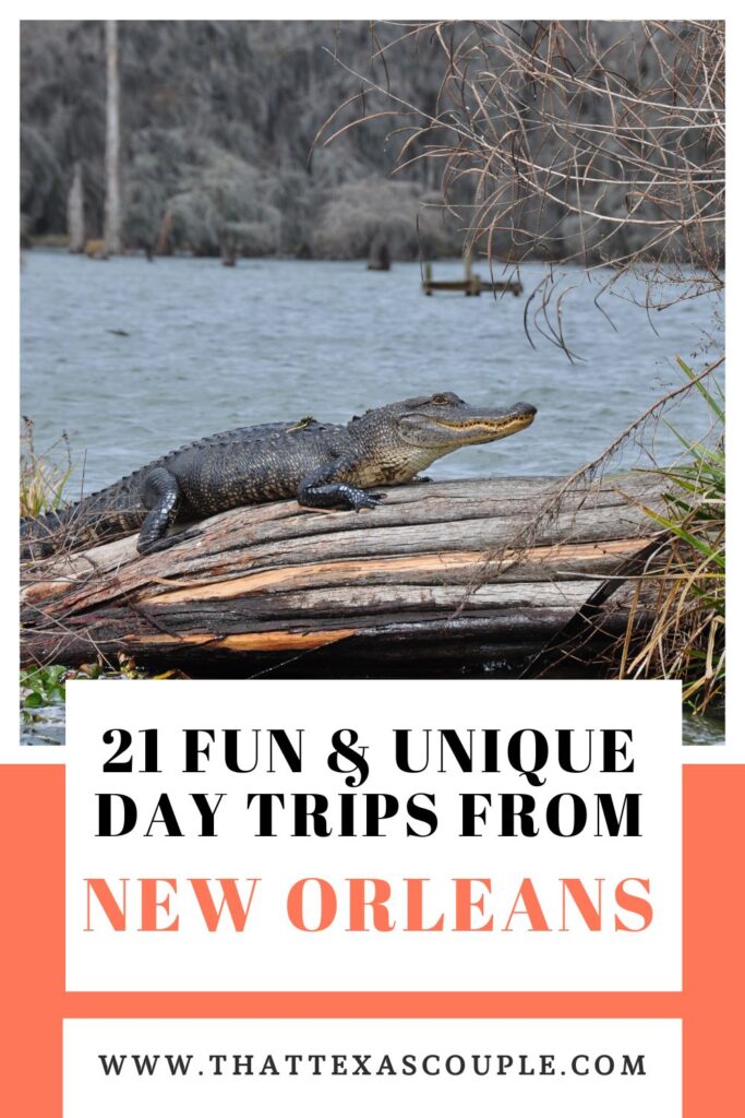 Day Trip from New Orleans