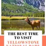 best time to visit Yellowstone