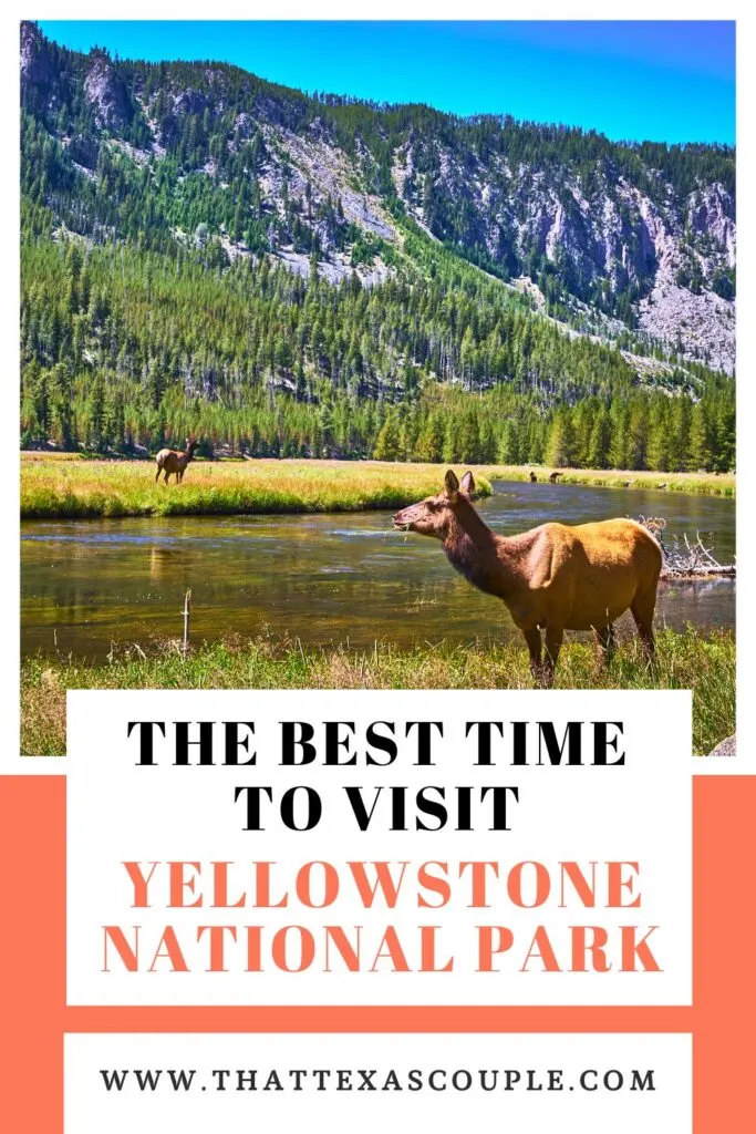 best time to visit Yellowstone