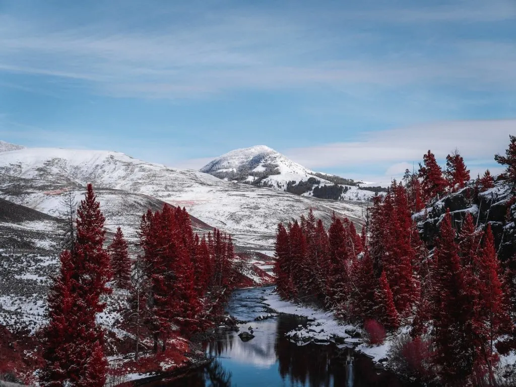 light snow on mountains with red pine trees-
