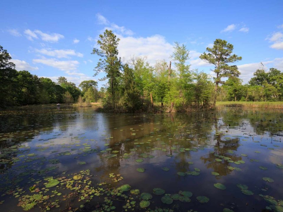 10 Awesome Lakes in Houston (and Nearby) That Texas Couple