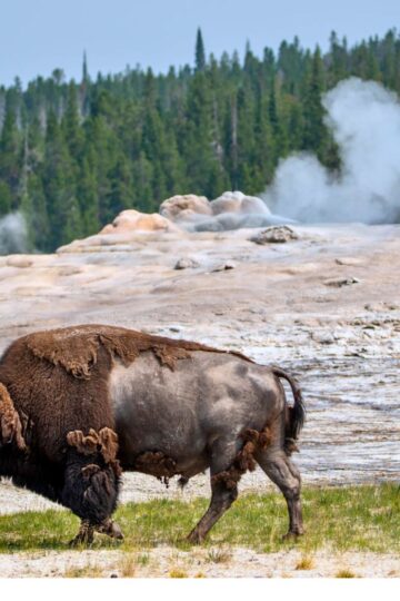 3 day Yellowstone itinerary