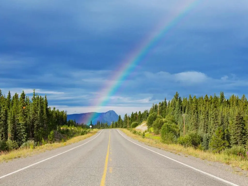 road lined with pine trees with a rainbow in the distance