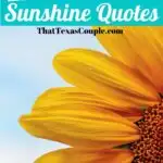 quotes about sunshine pin image