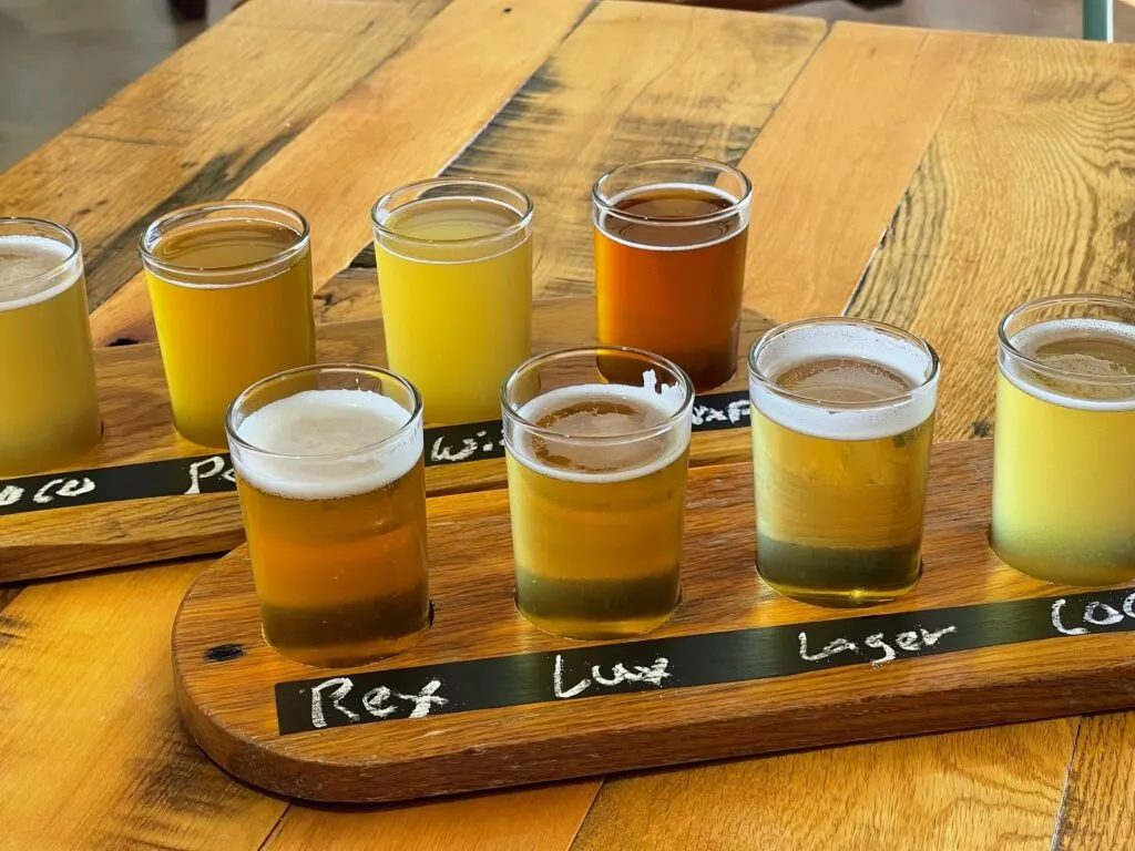 2 beer flights from Save the World Brewery