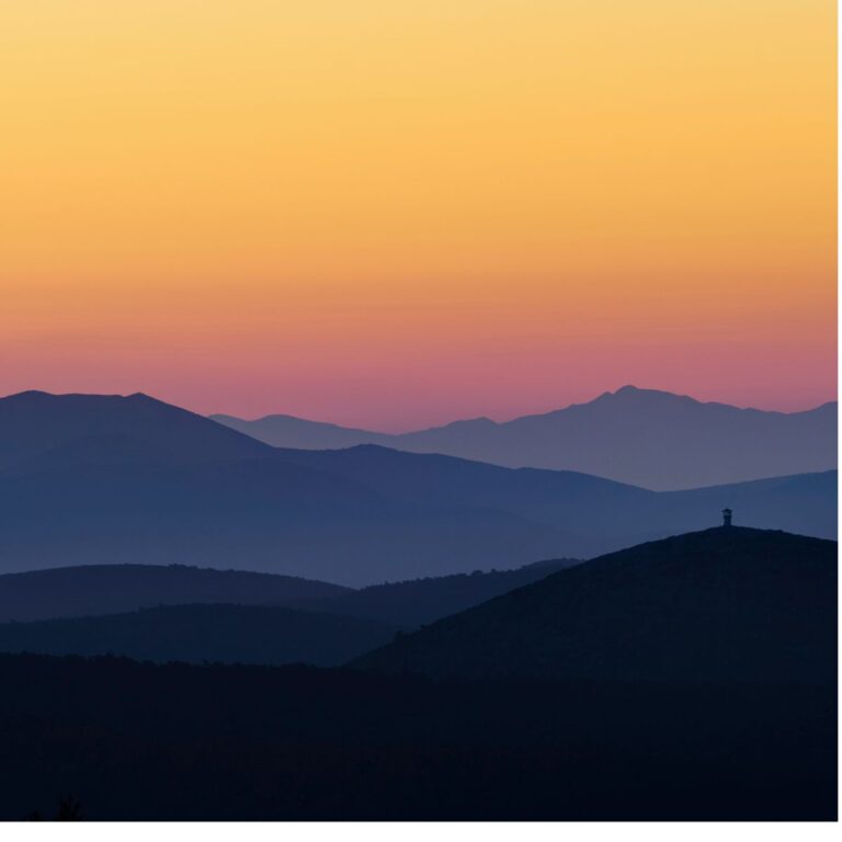 100+ Life Journey Quotes To Inspire Wanderlust