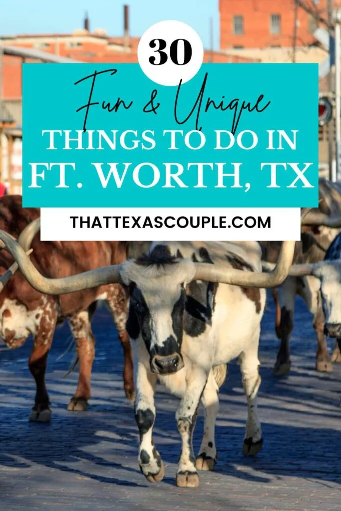 things to do in Fort Worth Texas