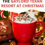 Gaylord Texan Christmas