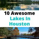 lakes in Houston Pin Image